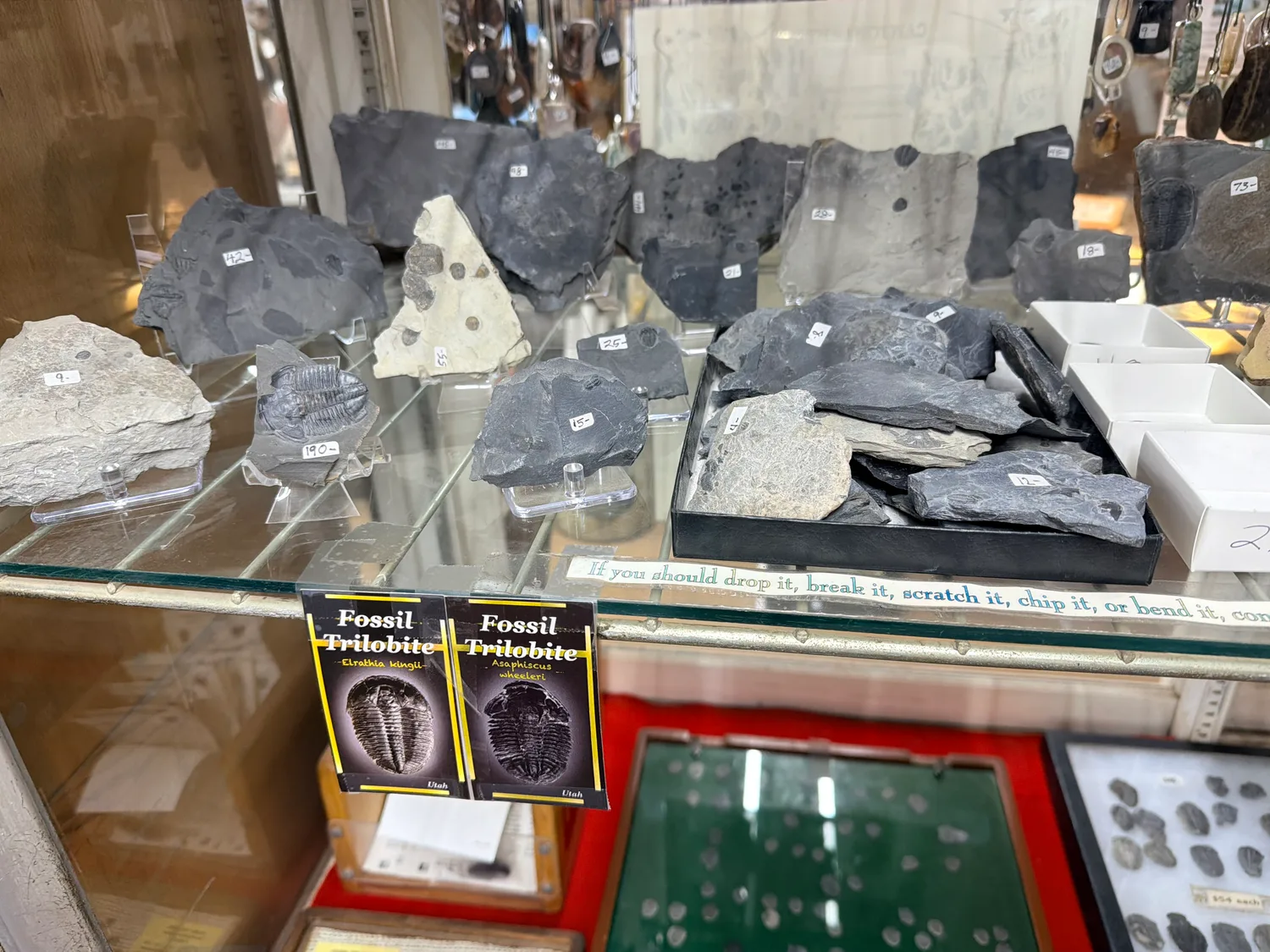 Shelves of ancient Pueblo and Anasazi pottery shards and corn grinders at a Moab rock shop