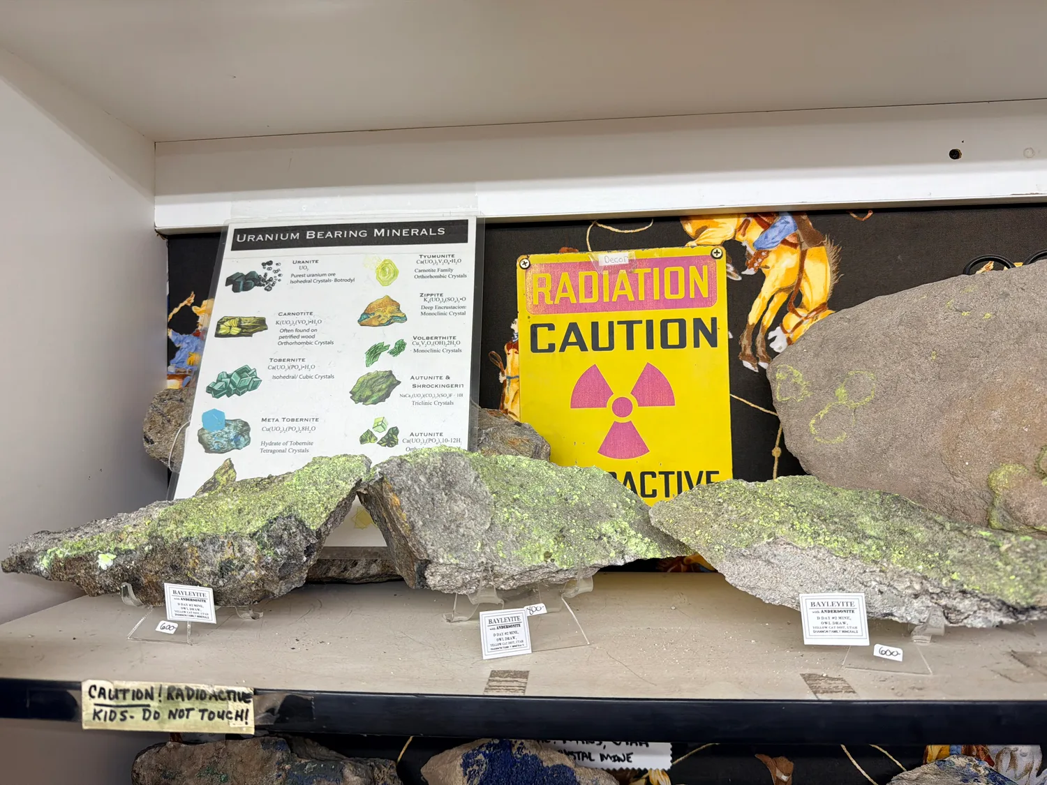Glowing green uranium-bearing bayleyite specimens beside a radiation caution sign in a Moab rock shop